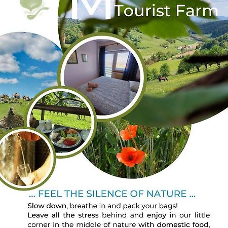 Vila Masnec Tourist Farm Miljana Exteriér fotografie
