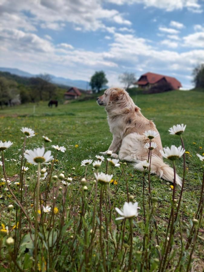 Vila Masnec Tourist Farm Miljana Exteriér fotografie
