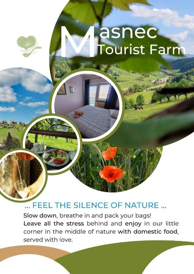 Vila Masnec Tourist Farm Miljana Exteriér fotografie